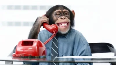 u.....s - @kipowrot: call center