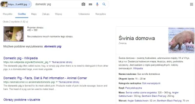 P.....3 - @Bananada: btw. google prawdę Ci powie ( ͡° ͜ʖ ͡°)