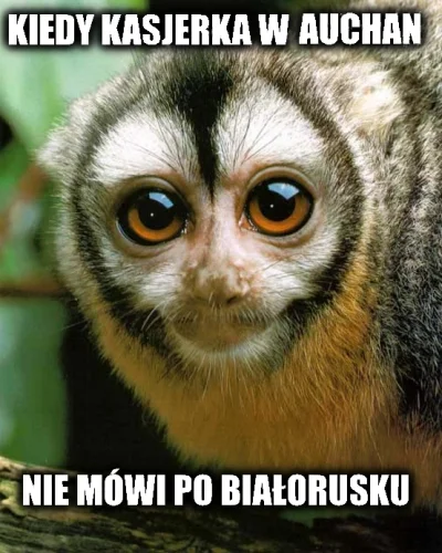 Muhloonix - Rasa: night monkey ( ͡° ͜ʖ ͡°)
#bialorusin #polak #ukrainiec