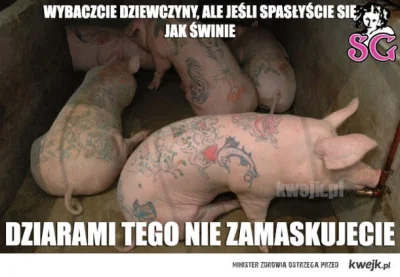 kamdz - makao tuczniki XD @Sscherzo #bekazrozowychpaskow #bekazgrubasow #fatsoup