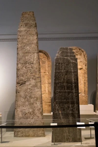 myrmekochoria - Czarny i biały obelisk
