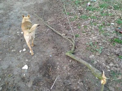 Maaska - #dupeczkizprzypadku :D