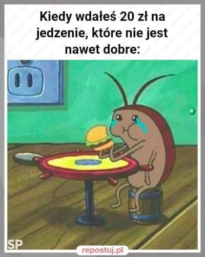 Ayano - Najgorzej. 
#smuteczek #zalesie #jedzenie #humorobrazkowy #humor