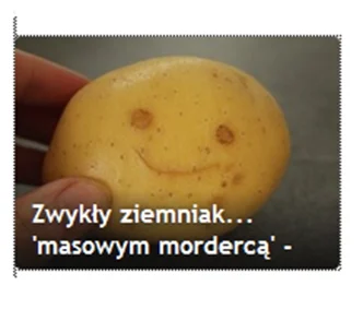 BojWhucie - tymczasem fronda donosi( ͡° ͜ʖ ͡°) #heheszki #fronda #neuropa