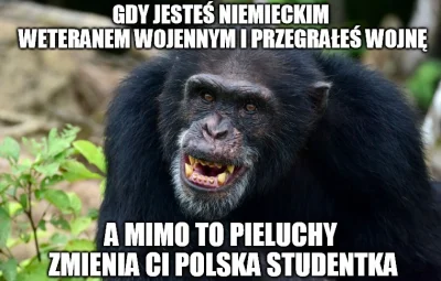 Mescuda - #pracbaza #studbaza #niemcy #humorobrazkowy #logikarozowychpaskow #gorzkiez...