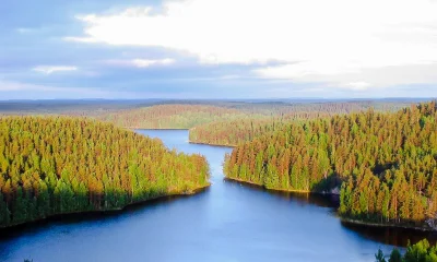 johanlaidoner - Finlandia (czyli Suomi) las. Pełny wilków i niedźwiedzi...
#finlandi...