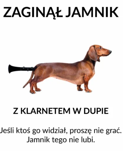 Paula_pi - Z dedykacją dla @czysta: