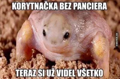 Rozn3r - #heheszki #memy #czechy #czeskiememy #pomidory 

Język czeski jest pomidorek