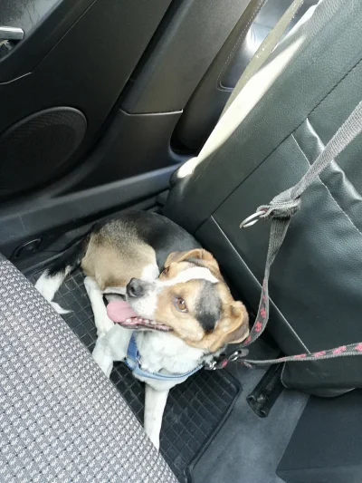 RandomNicknameNotAvailable - @siema13 @FHA96 @Kojbosz @zuzka-kotkowska @niemowiepo_ko...