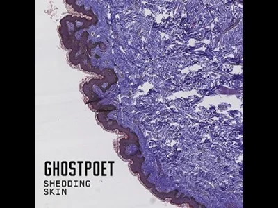 Ned - #szafagra #nedpoleca #muzyka

Nowy Ghostpoet daje radę.

Ghostpoet feat. Me...