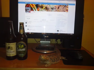 GraveDigger - Taki zestaw na dzisiejszy wieczór. Jaszczurki, dwa razy dobre #piwo i m...