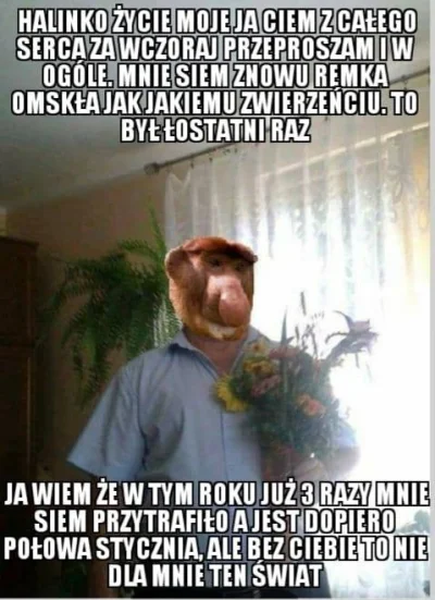 pablonzo - XD
#heheszki #humorobrazkowy #polak #nosaczsundajski