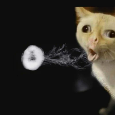 Tops - #heheszki #humorobrazkowy #epapierosy #papierosy #koty