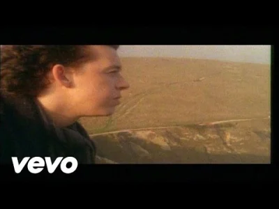 Lifelike - #muzyka #newwave #tearsforfears #80s #90s #klasykmuzyczny #lifelikejukebox...