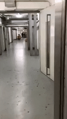 FizykDawidPasieka - @DrClone (ʘ‿ʘ)