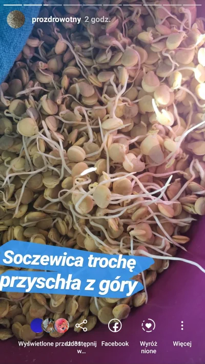 Prozdrowotny - Soczewica z 500g z biedronki. Ciecierzycę i fasolę z biedry też kiełku...