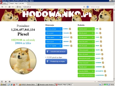 tamdolicha - wykopałem dużo doge :D :D #piesel #hodowanko #doge