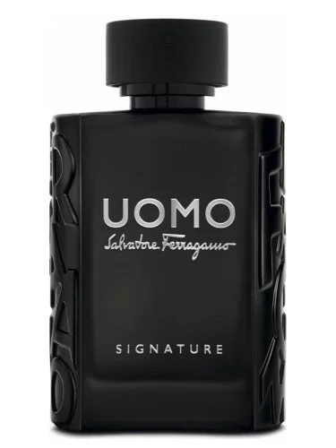 dradziak - Salvatore Ferragamo - Uomo Signature

Ostatnimi moimi perfumami, które rec...