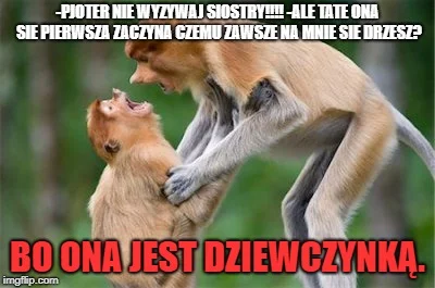 P.....6 - @Vladimis: Człowieku żyjesz w Polsce