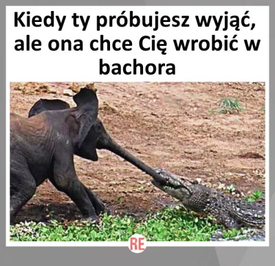 repostuj - @juby0001: ale pocięte xDD