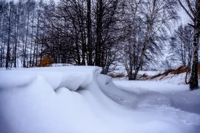 Szpajdermen - #snieg #zima #fotografia