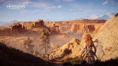 V.....n - Strzeliłem taki screen. Ale ta gra piękna (ʘ‿ʘ)
#ps4pro #horizonzerodawn