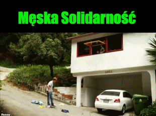 greg1970 - #heheszki #gif #logikaniebieskichpaskow #meskasolidarnosc