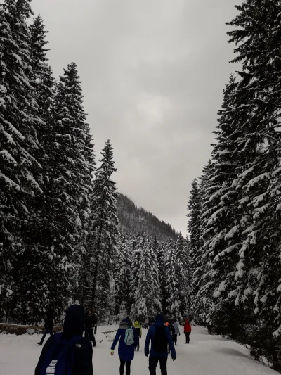 wija - #morskieoko #zakopane 
No pięknie tu jest :-)