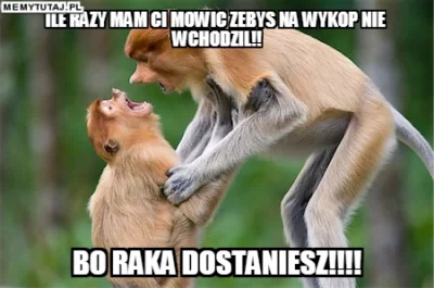 AmatorWykopu - #humorobrazkowy #4konserwy #memy ##!$%@?