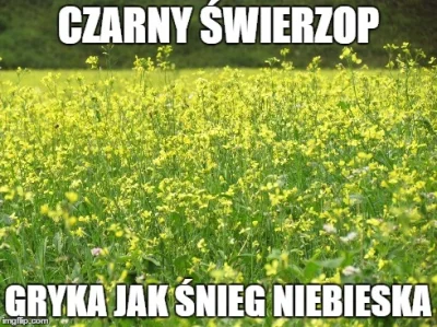 KocieJaduo - #humorobrazkowy #heheszki