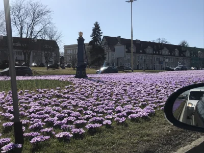 Rawcio - @dzieju41: @ziobro2: @Dorciqch: 
Przejeżdżając rowerem przez Jasne Błonia oc...