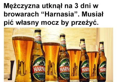 Lapidarny - #humorobrazkowy #heheszki #suchar #piwo