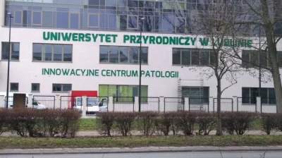 j.....k - Karyny szły do pobliskiego centrum przy ul. Głębokiej ( ͡° ͜ʖ ͡°)