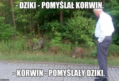 skalar_neonka - #heheszki #humorobrazkowy #bekazkorwina