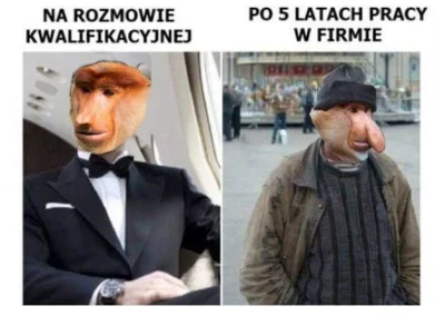 Zarzadca - #polak #nosaczsundajski #humorobrazkowy #korposwiat