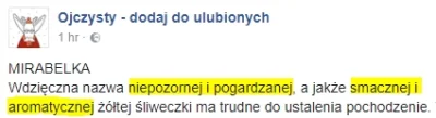 dessy - No jak tam, Mirabelki? ( ͡° ͜ʖ ͡°)

#niewiemjaktootagowac #rozowepaski