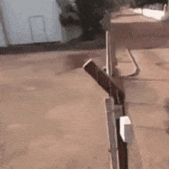 toxa - #heheszki #gif #smiesznegify #humorobrazkowy