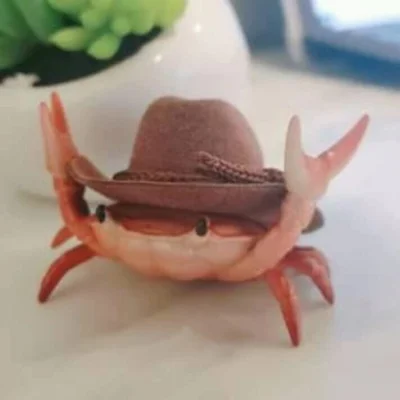 Robix - see you crab cowboy