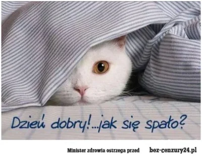 d.....r - Dzień dobry, buongiorno, dober dan! Udanego, miłego i pełnego pozytywnych w...