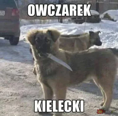 M.....a - XDDDDDDD #heheszki #humorobrazkowy #gownowpis