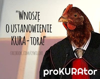 FrywolnaSpolkaKomandytowoAkcyjna - WNOSZĘ O proKURAtora 
#prawo #heheszki