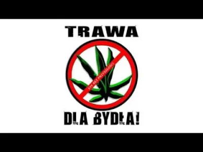 tehftw - @pedopope: WYRYWAĆ NISZCZYĆ NIE LEGALIZOWAĆ