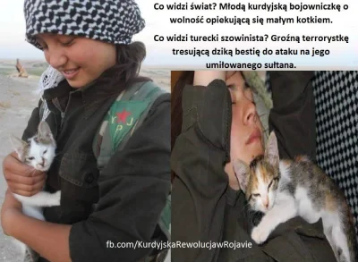 Paulinho - #syria #turcja #rojava #ypj #babynawojnie #bliskowschodniememy #bliskiwsch...