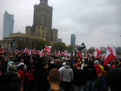 ronin88666 - Dużo, coraz więcej ludzi #manifestacja