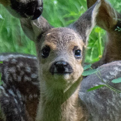 trzeci - Pluśnij, a nigdy sobie tego głupiego ryja nie rozwalisz ʕ•ᴥ•ʔ