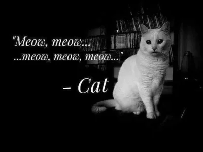 Bonzai5 - Meow meow meow #!$%@?. Czyść mi kuwetę człowieku ( ͡° ͜ʖ ͡°) 
#memy #koty #...