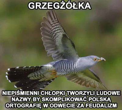 Neodym - > gzegzolka

@gzegzolka: