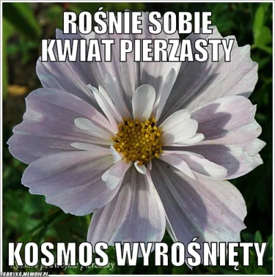 WygazowanaBateria - #humorobrazkowy #humor #bekazafery #kosmonauta #kosmos #heheszki
...