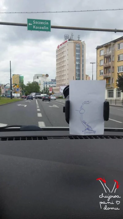 pogop - #logikarozowychpaskow #heheszki #humorobrazkowy #nawigacja #samochody #motory...