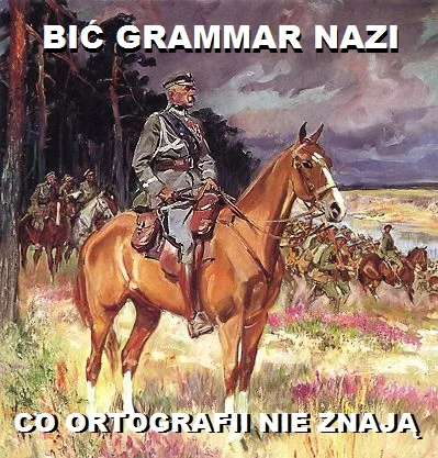 badtek - Zauważyłem, że sformułowanie "grammar nazi" jest używane głównie przy zwraca...